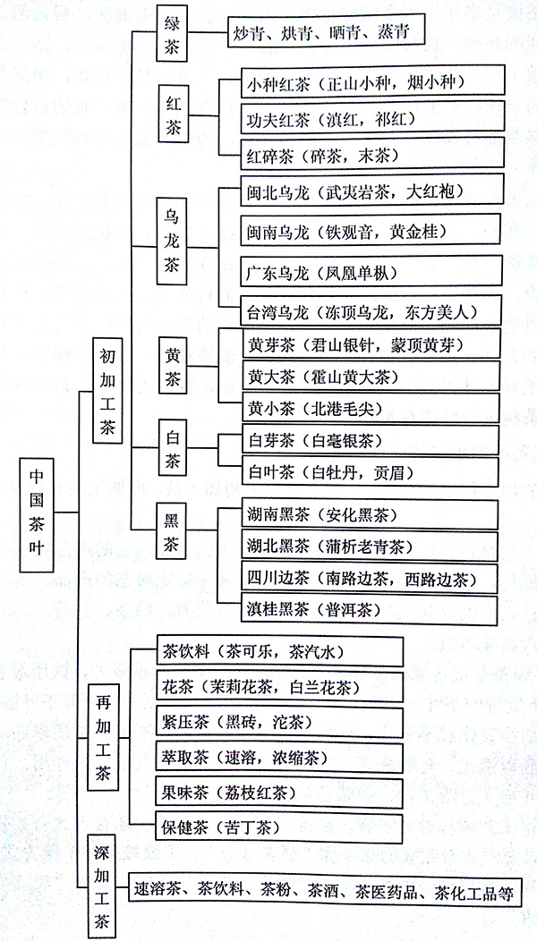 中国所有种类茶叶及加工程度分类表