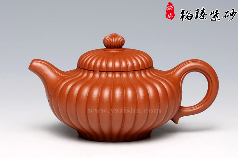陈顺根 菊花壶 图一