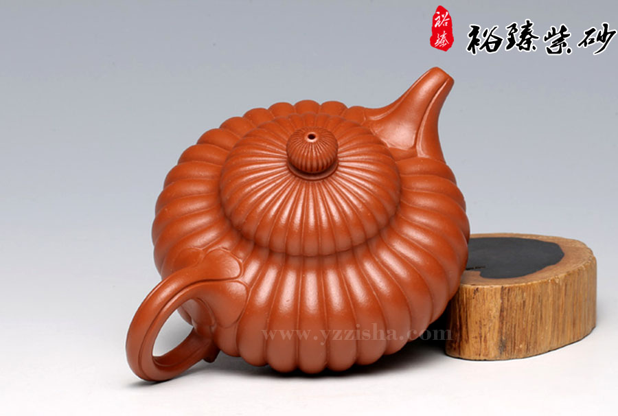 陈顺根 菊花壶 图四