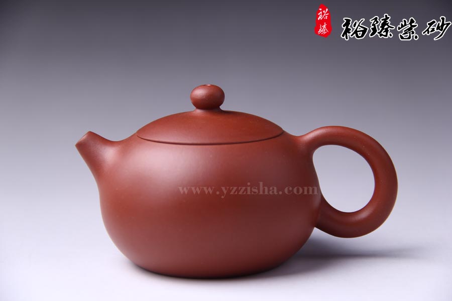 高伟玲清水泥小西施紫砂壶正面