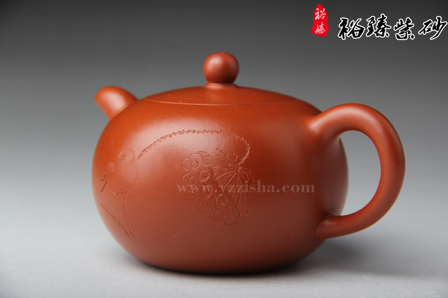 王品荣朱泥禅珠壶侧面图
