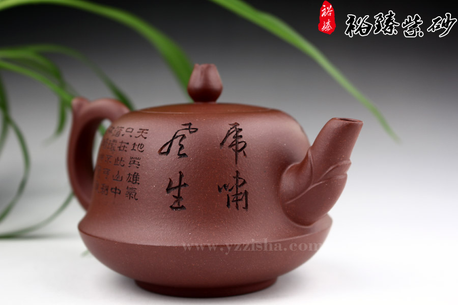 尹怀清水泥玉兰紫砂壶侧面图