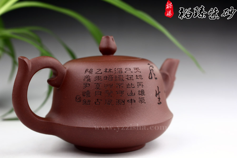 尹怀清水泥玉兰紫砂壶侧面图