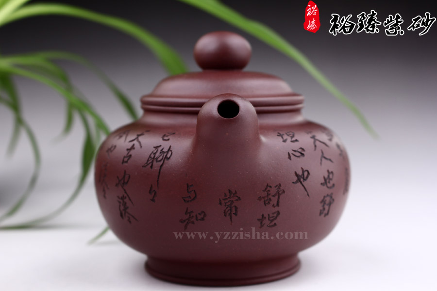 尹怀红清水碧泉紫砂壶壶嘴图