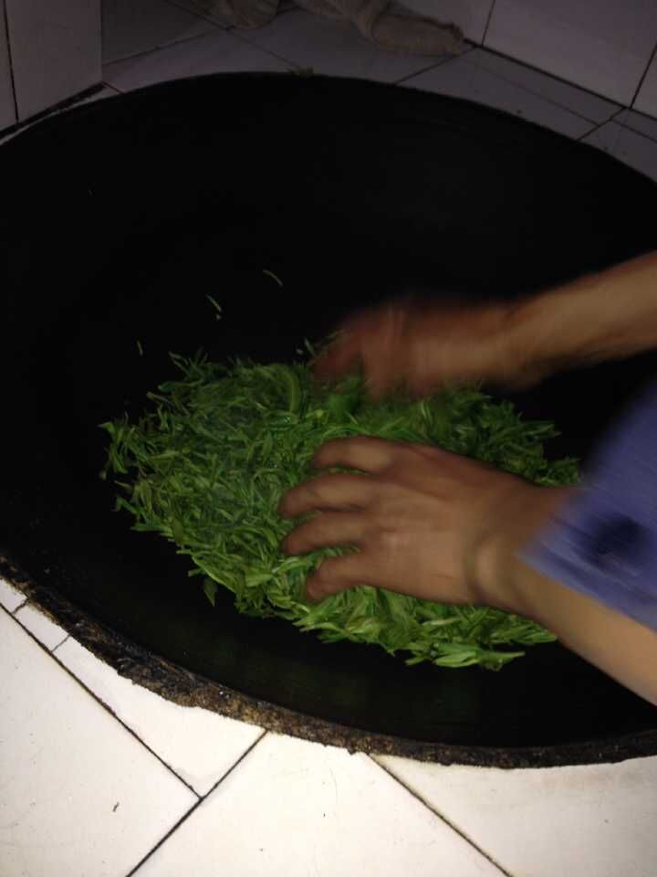 祁门红茶烘干 祁门红茶烘干
