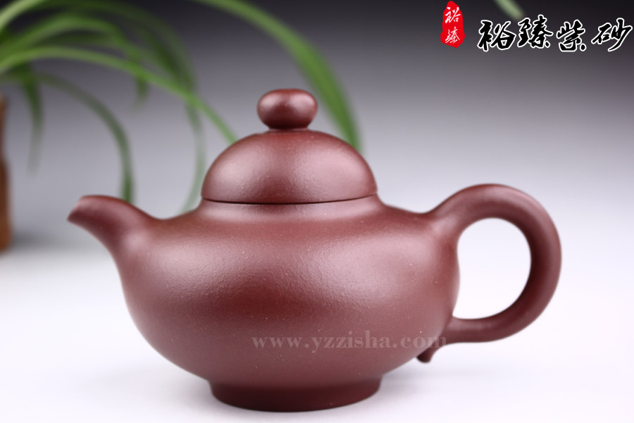 陈顺根光货乳钉紫砂壶正面图