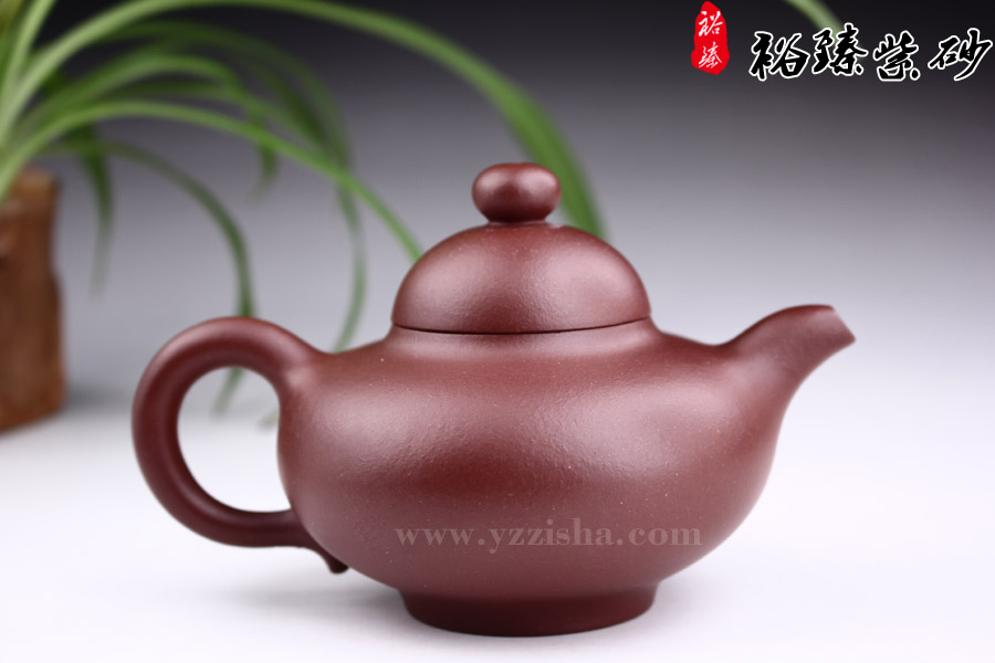 陈顺根光货乳钉紫砂壶反面图