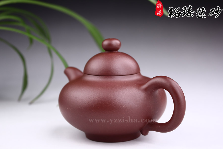陈顺根光货乳钉紫砂壶侧面图