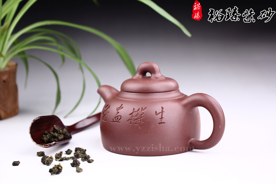 陈顺根汉钟紫砂壶侧面