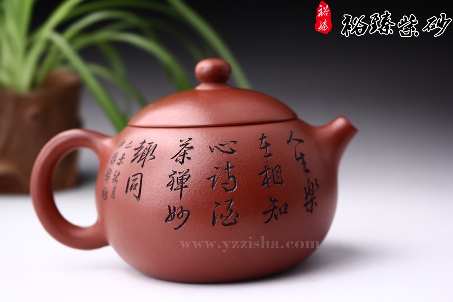 尹怀西施壶大红袍料制作图二