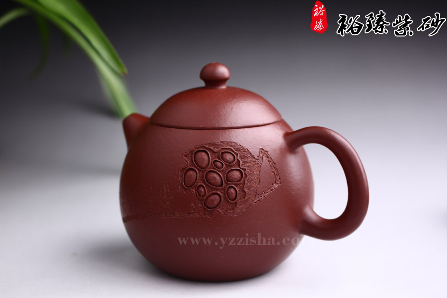 史琴亚原矿大红袍龙蛋壶侧面图