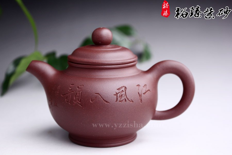 陈顺根原矿紫泥玉润壶正面图
