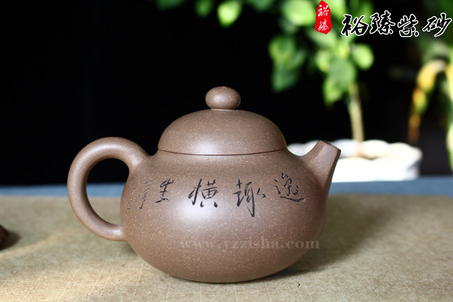 胡丽琴原矿段泥乳瓜壶 反面图