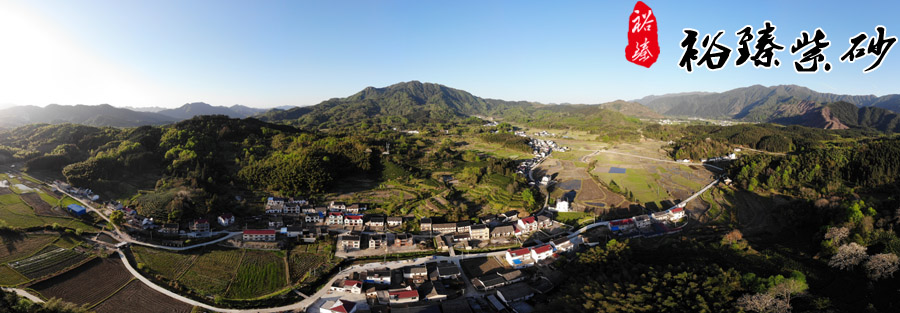 茶园风景3