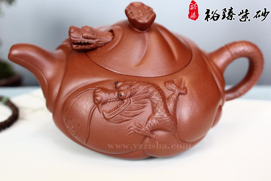 胡丽琴鱼化龙5