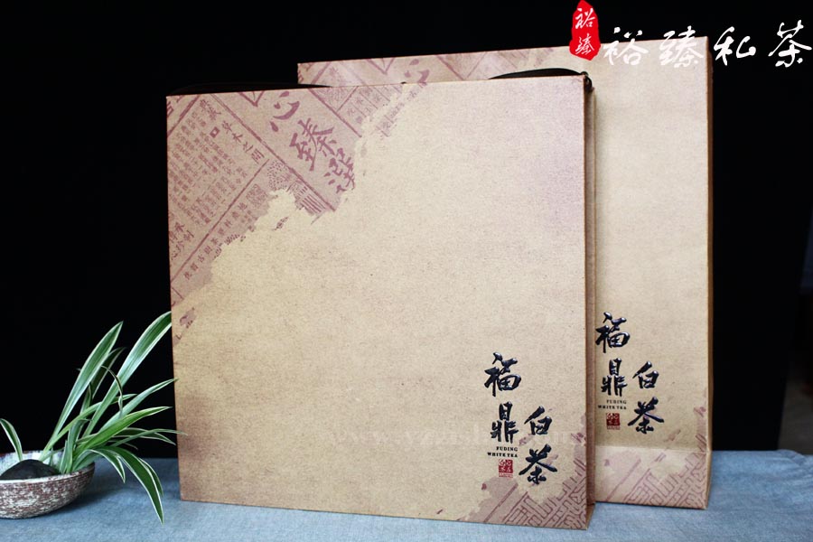 福鼎老白茶5