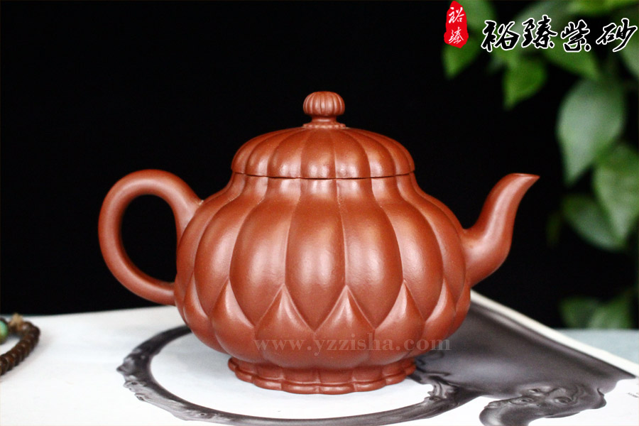 雨露莲心2