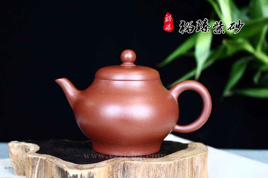 杨国平大红袍秋水壶正面图