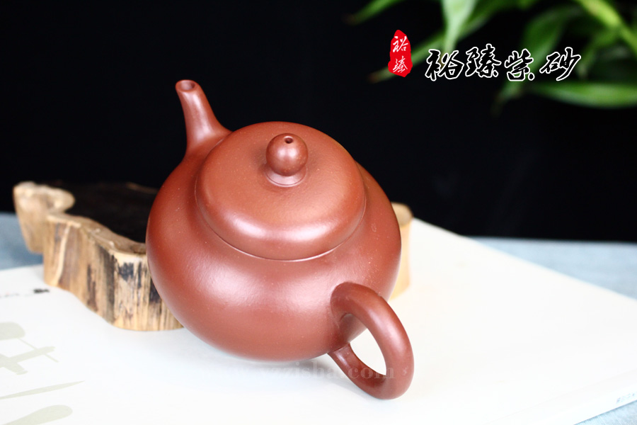 杨国平大红袍秋水壶侧面图